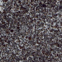 Granite Color Choice 6